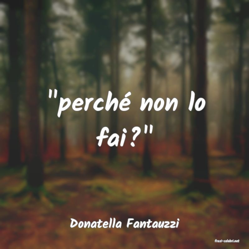 frasi di Donatella Fantauzzi