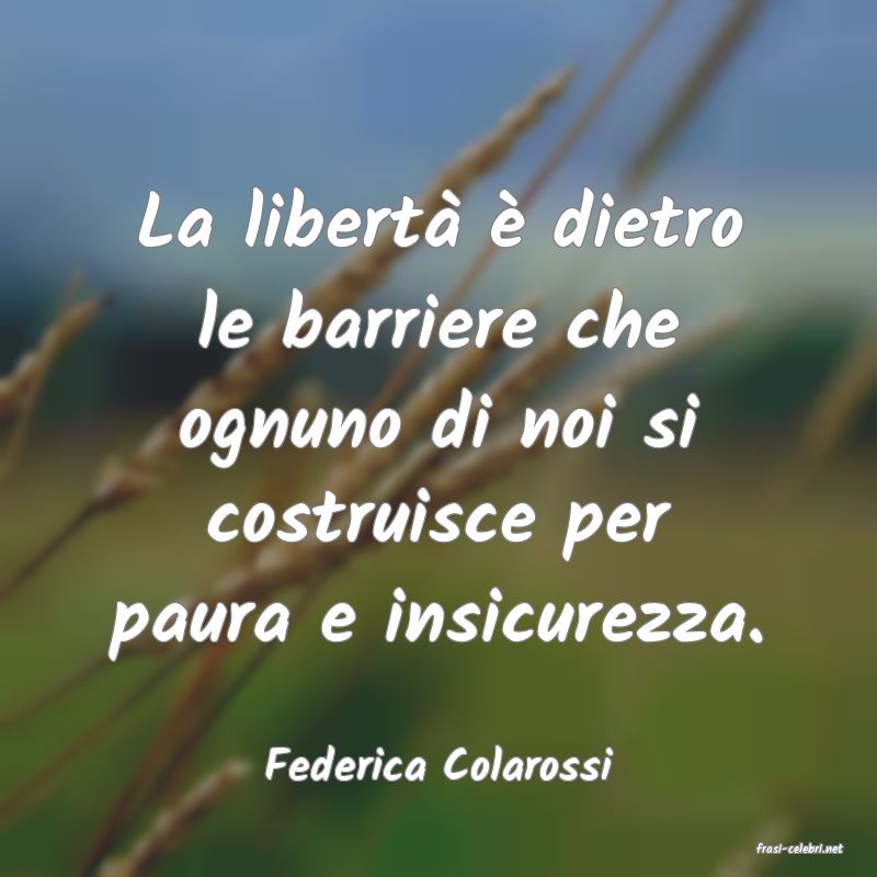 frasi di  Federica Colarossi
