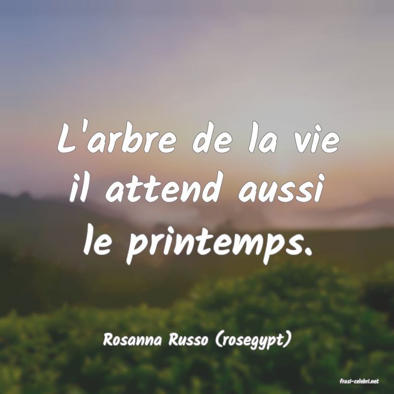 frasi di  Rosanna Russo (rosegypt)
