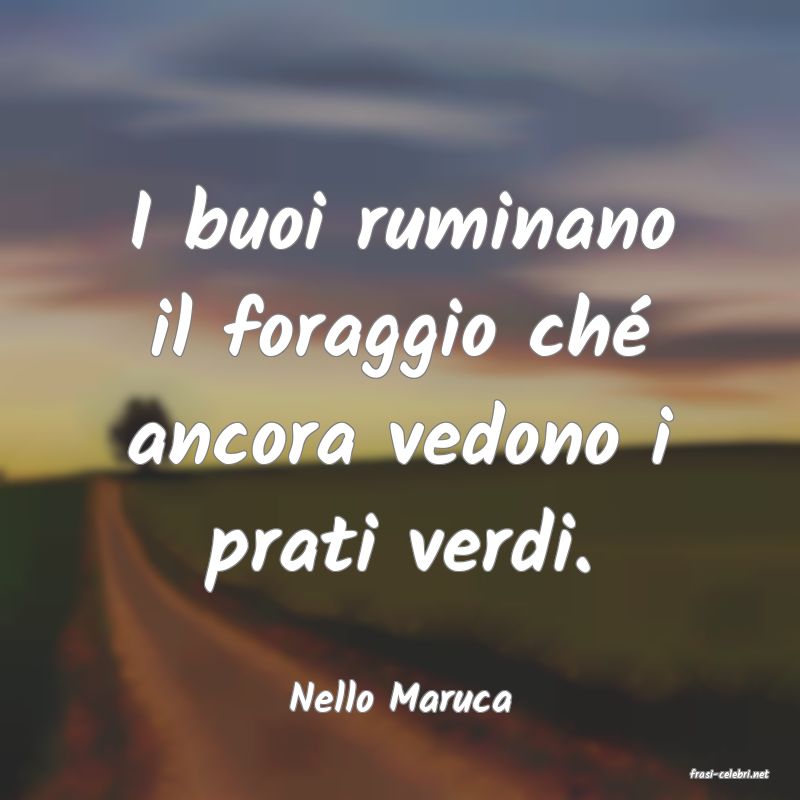 frasi di  Nello Maruca
