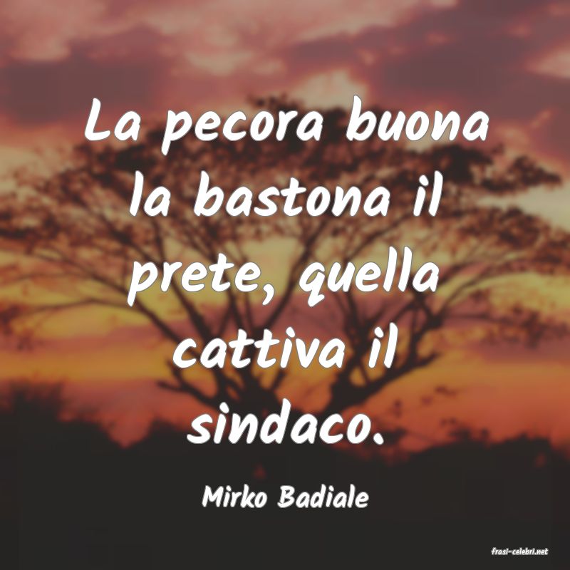 frasi di  Mirko Badiale
