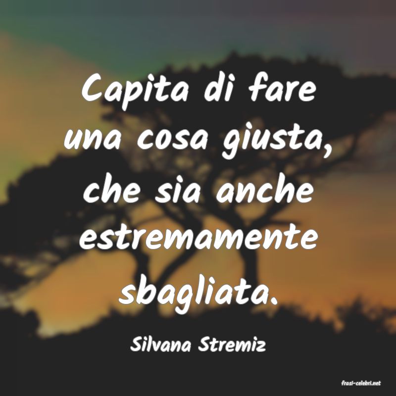 frasi di  Silvana Stremiz
