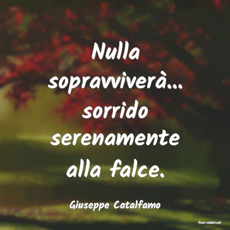 frasi di Giuseppe Catalfamo