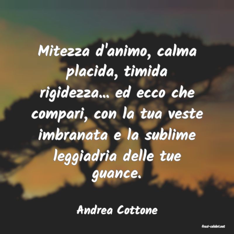 frasi di Andrea Cottone