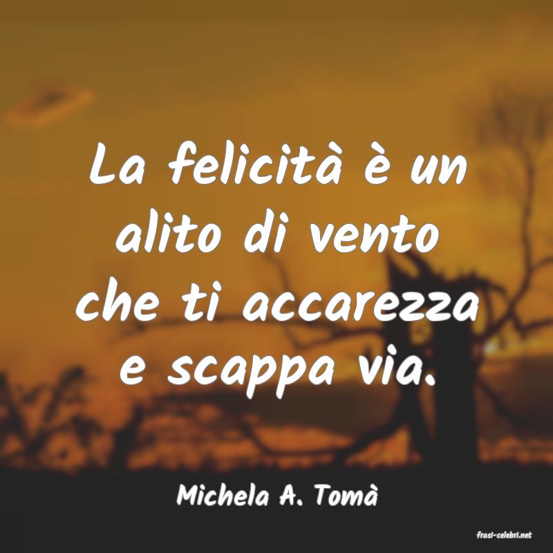 frasi di Michela A. Tom�
