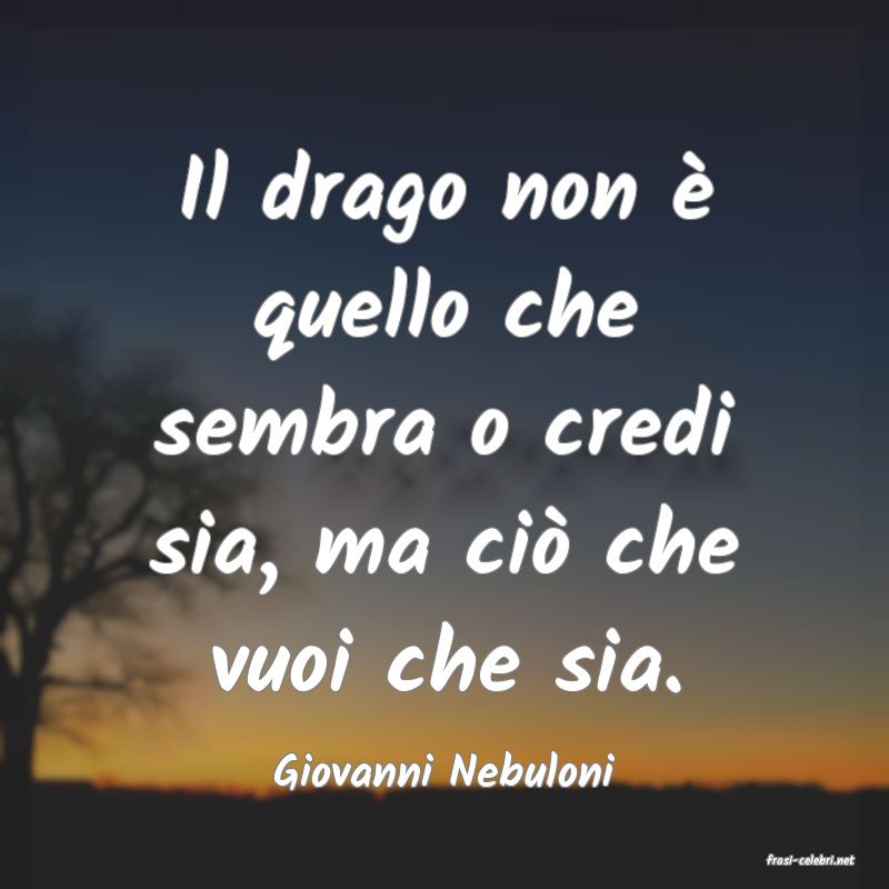 frasi di  Giovanni Nebuloni
