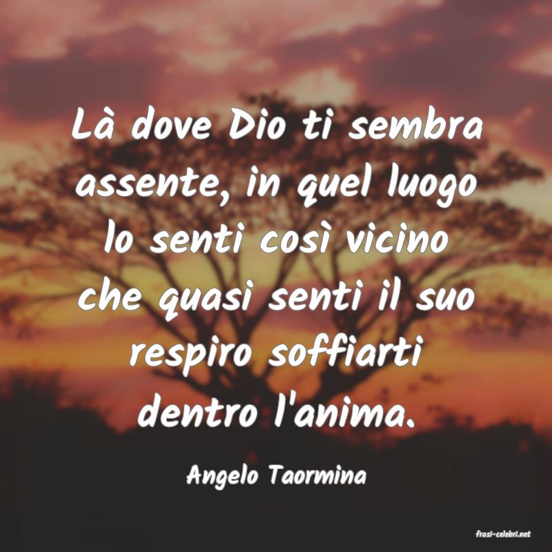 frasi di  Angelo Taormina

