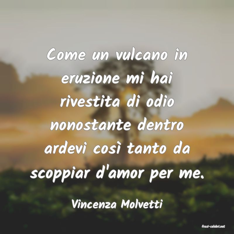 frasi di  Vincenza Molvetti
