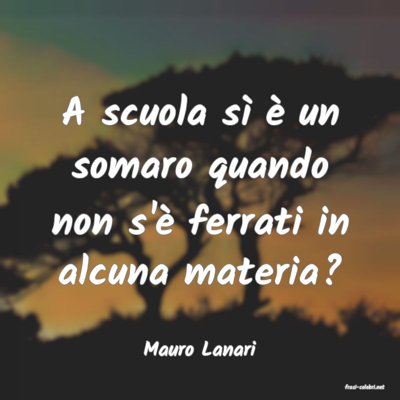 frasi di  Mauro Lanari
