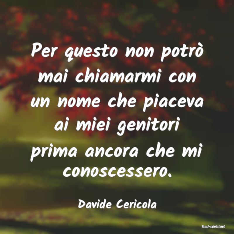 frasi di  Davide Cericola
