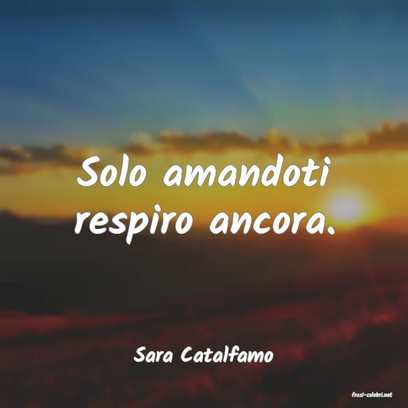 frasi di  Sara Catalfamo
