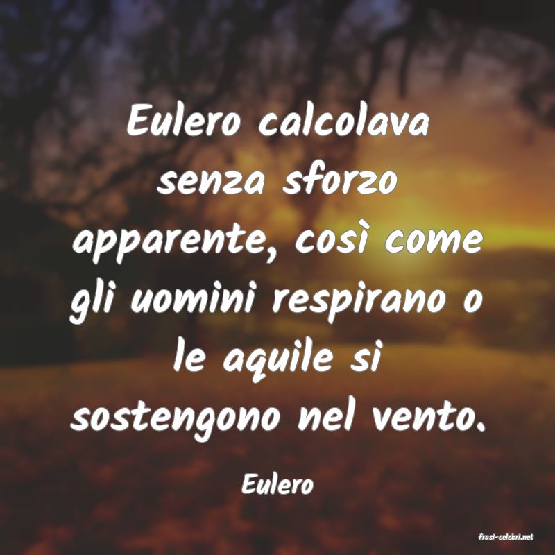 frasi di  Eulero
