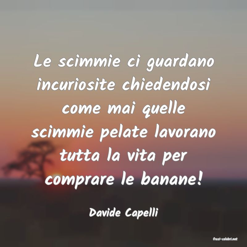 frasi di  Davide Capelli
