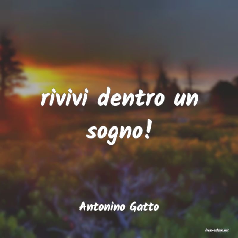 frasi di  Antonino Gatto
