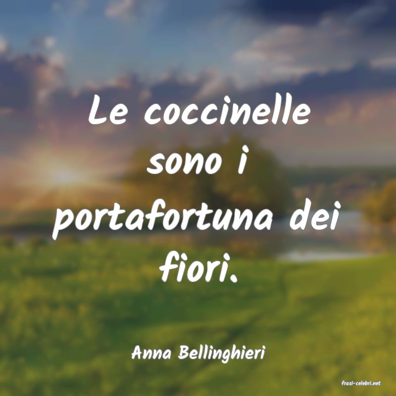 frasi di Anna Bellinghieri