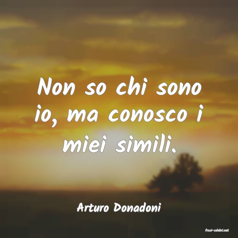 frasi di  Arturo Donadoni
