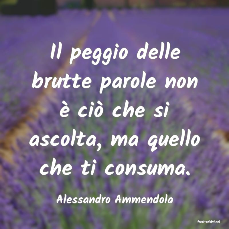 frasi di  Alessandro Ammendola
