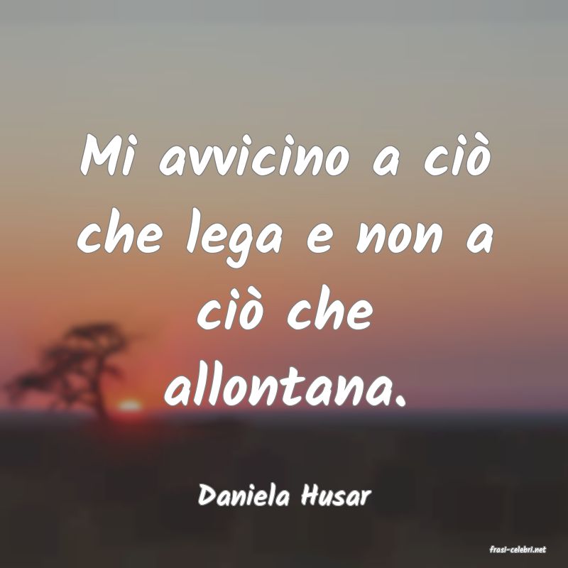 frasi di  Daniela Husar
