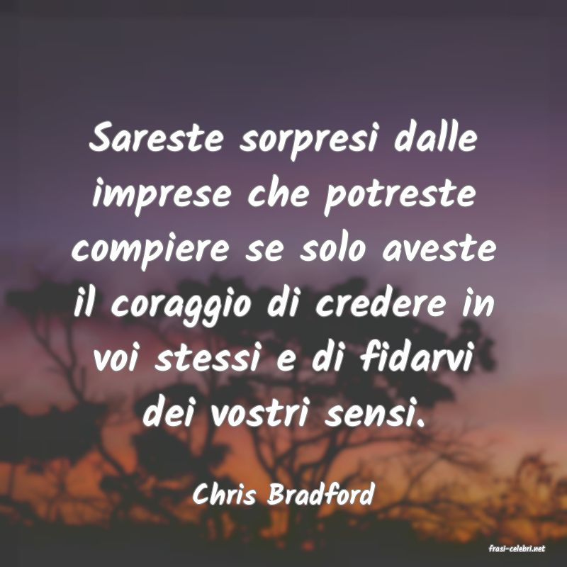 frasi di  Chris Bradford
