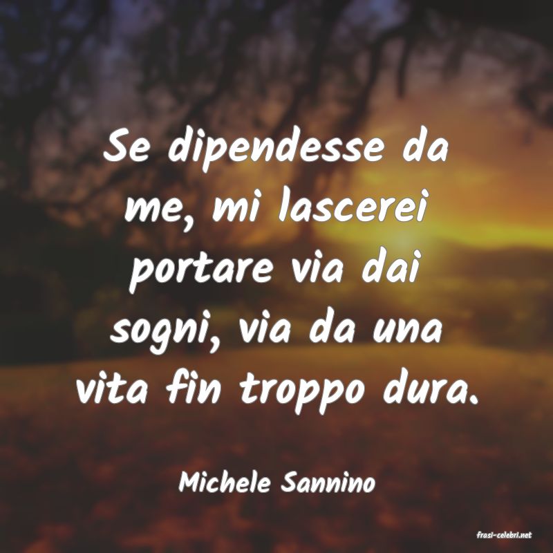 frasi di  Michele Sannino
