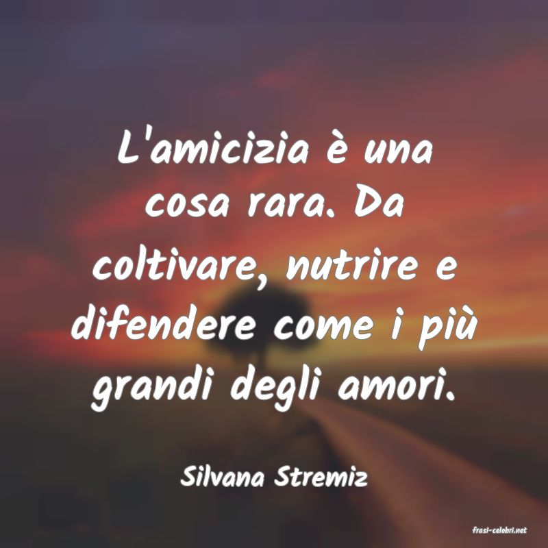 frasi di  Silvana Stremiz
