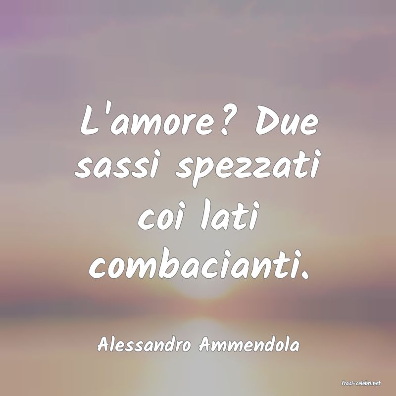 frasi di  Alessandro Ammendola
