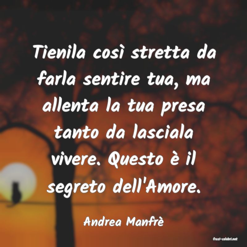 frasi di Andrea Manfr