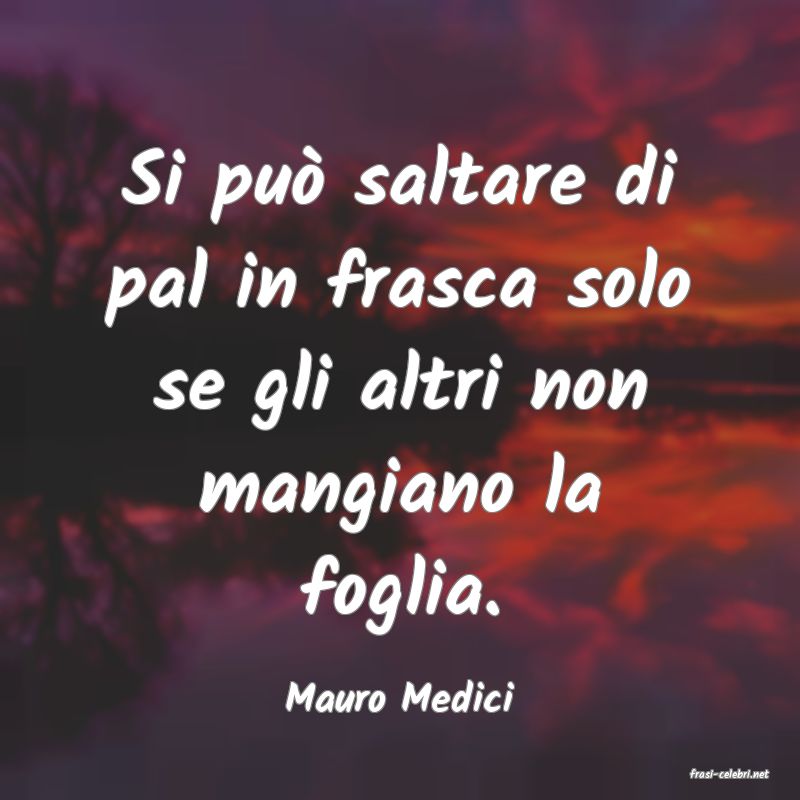 frasi di  Mauro Medici
