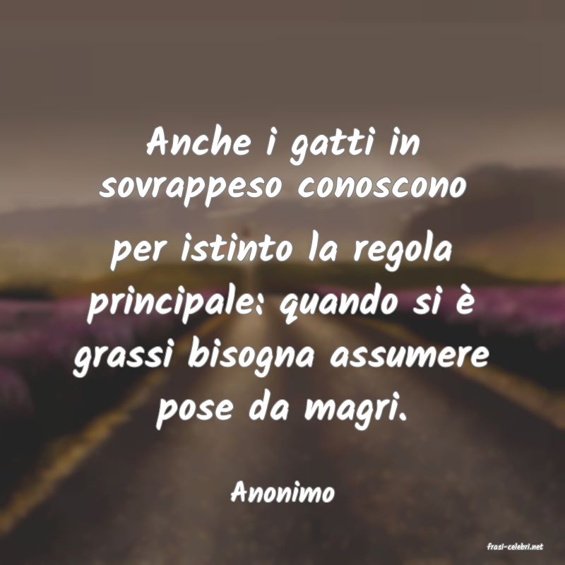 frasi di  Anonimo
