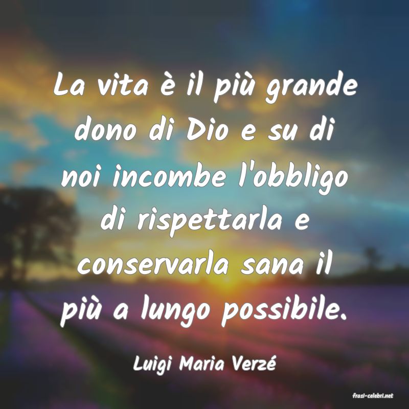 frasi di Luigi Maria Verz
