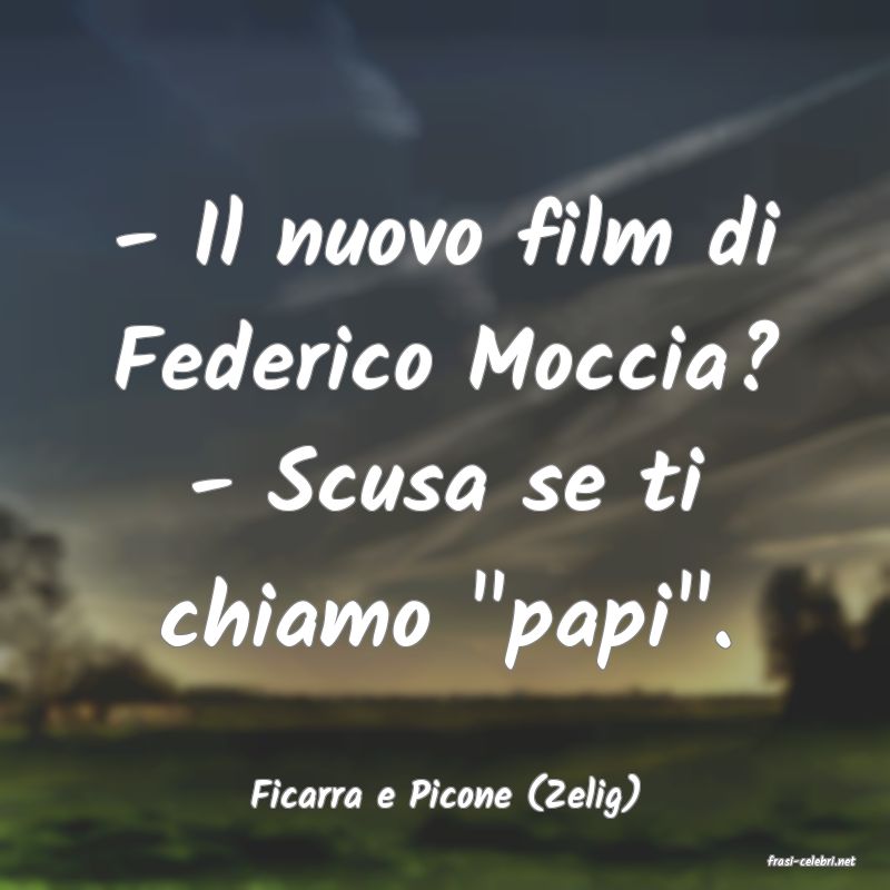 frasi di Ficarra e Picone (Zelig)