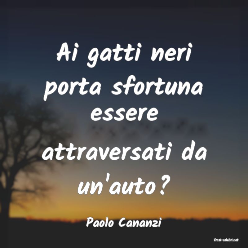 frasi di Paolo Cananzi