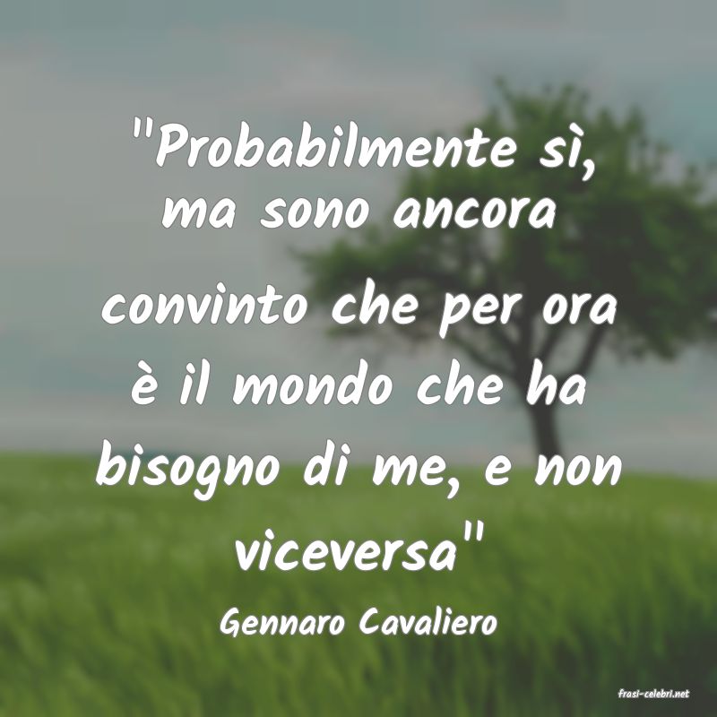 frasi di  Gennaro Cavaliero
