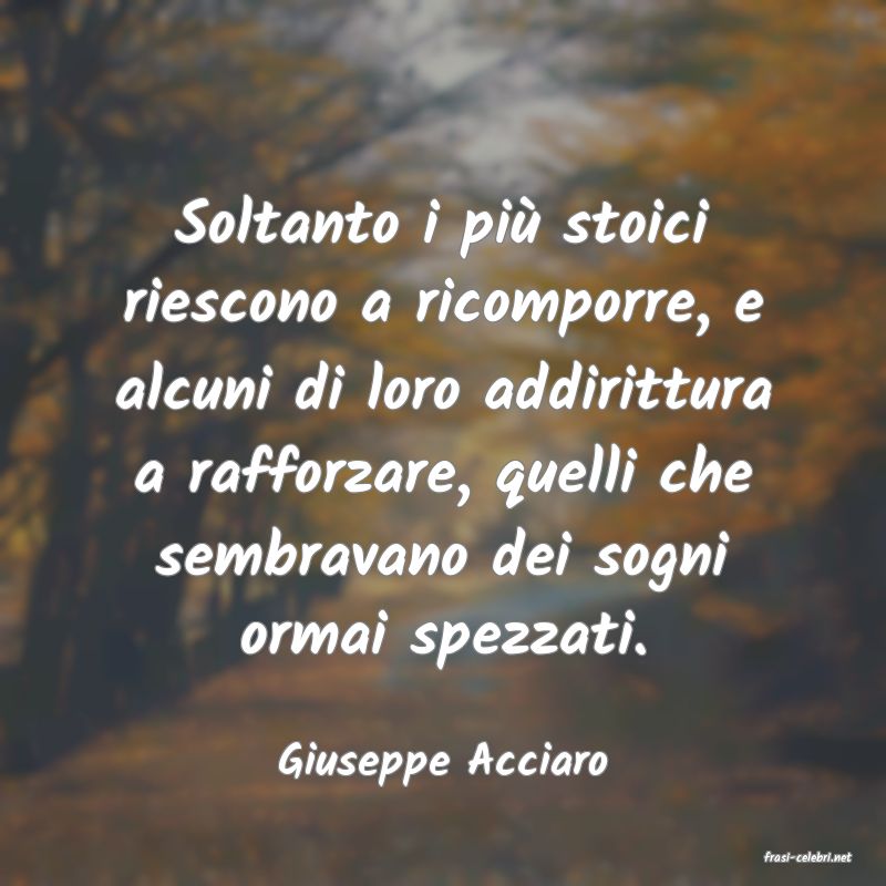 frasi di  Giuseppe Acciaro
