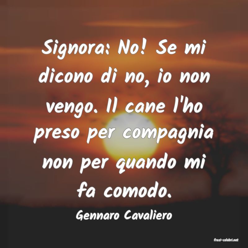 frasi di  Gennaro Cavaliero
