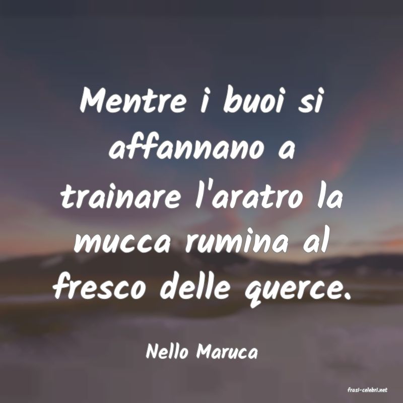 frasi di  Nello Maruca
