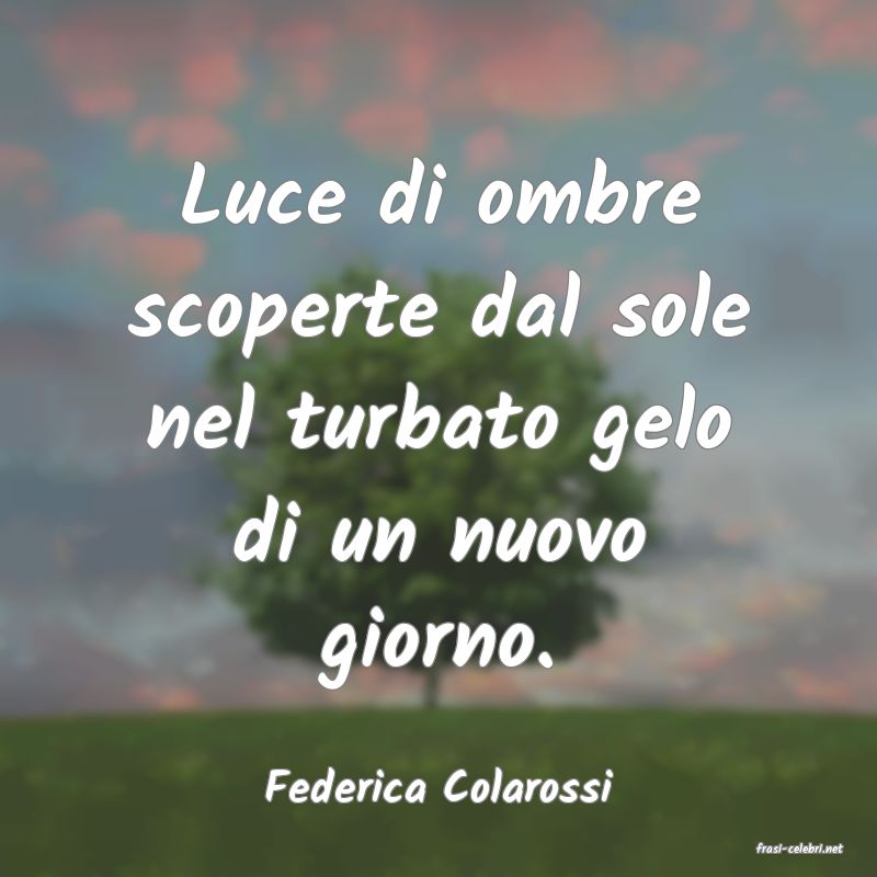 frasi di Federica Colarossi