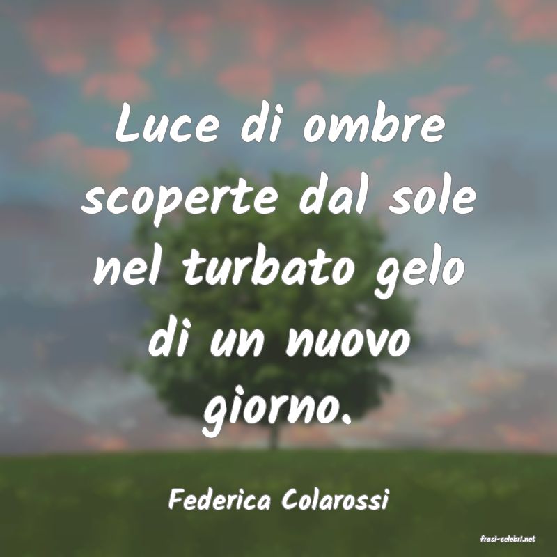 frasi di Federica Colarossi