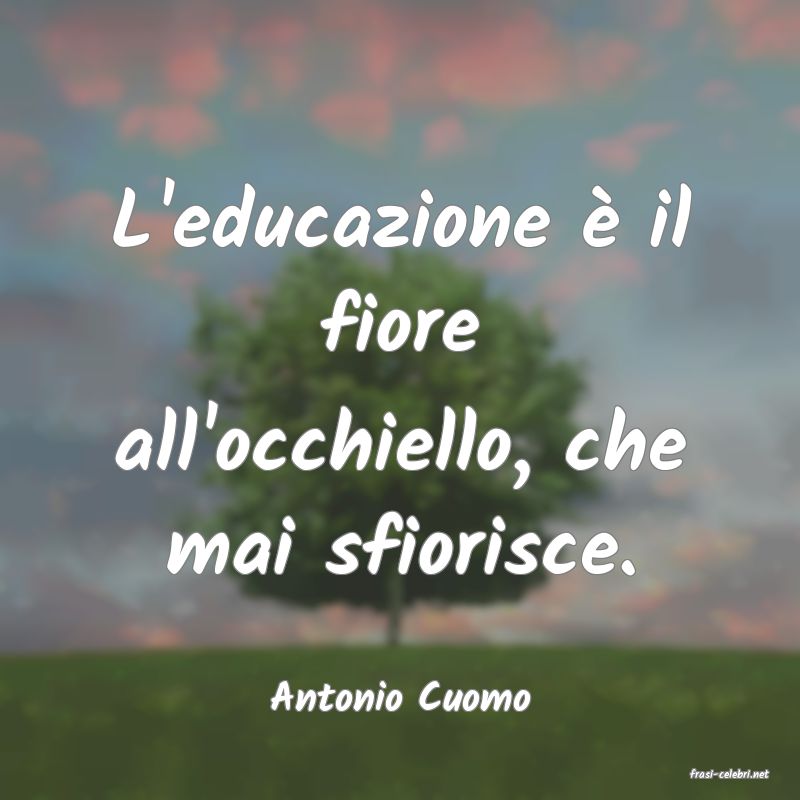 frasi di  Antonio Cuomo
