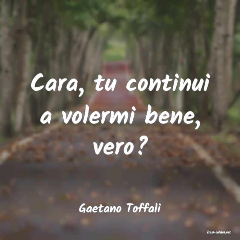 frasi di  Gaetano Toffali
