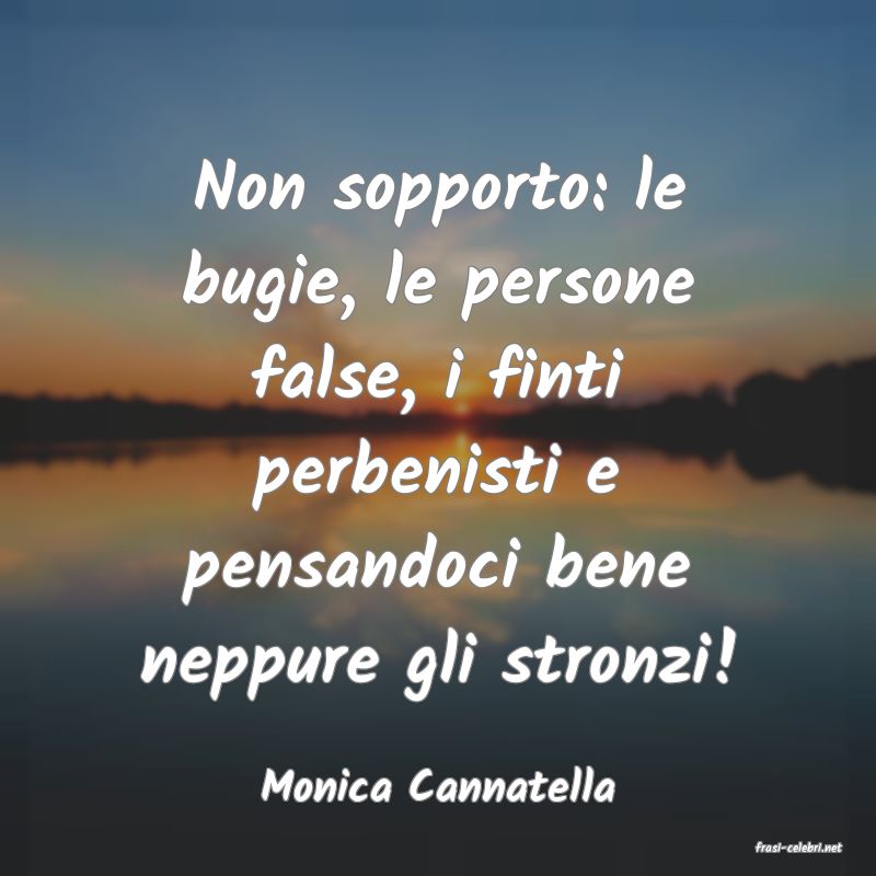 frasi di Monica Cannatella