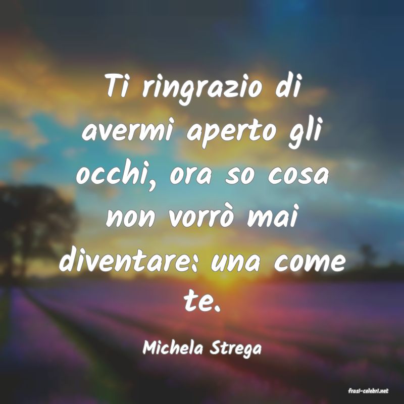 frasi di  Michela Strega
