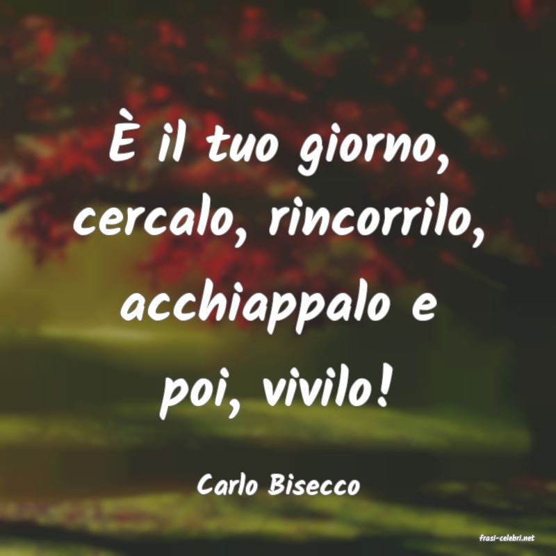 frasi di  Carlo Bisecco
