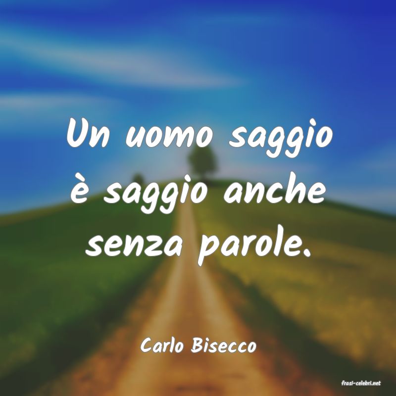frasi di  Carlo Bisecco
