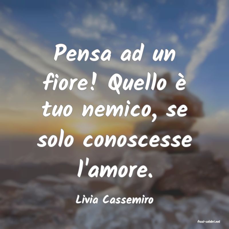 frasi di  Livia Cassemiro
