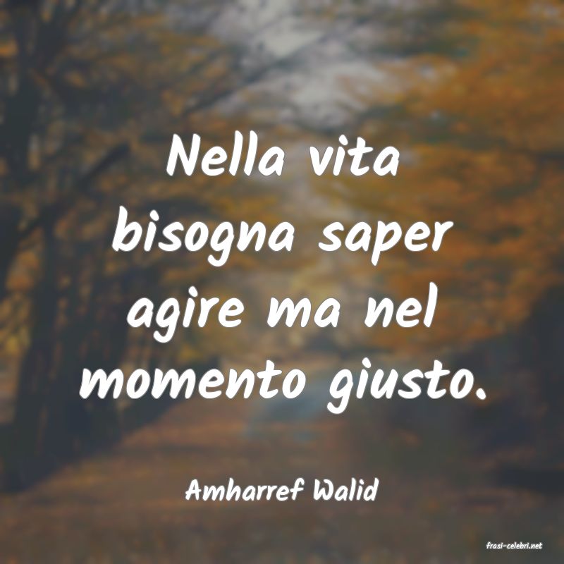 frasi di  Amharref Walid

