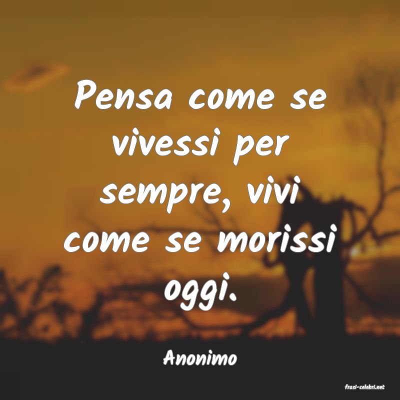 frasi di Anonimo