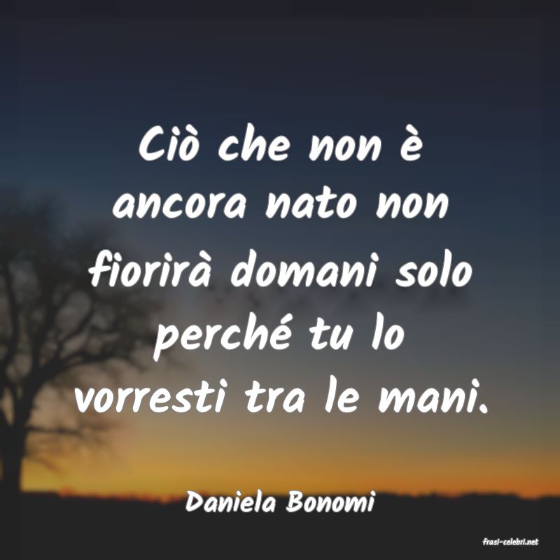 frasi di Daniela Bonomi