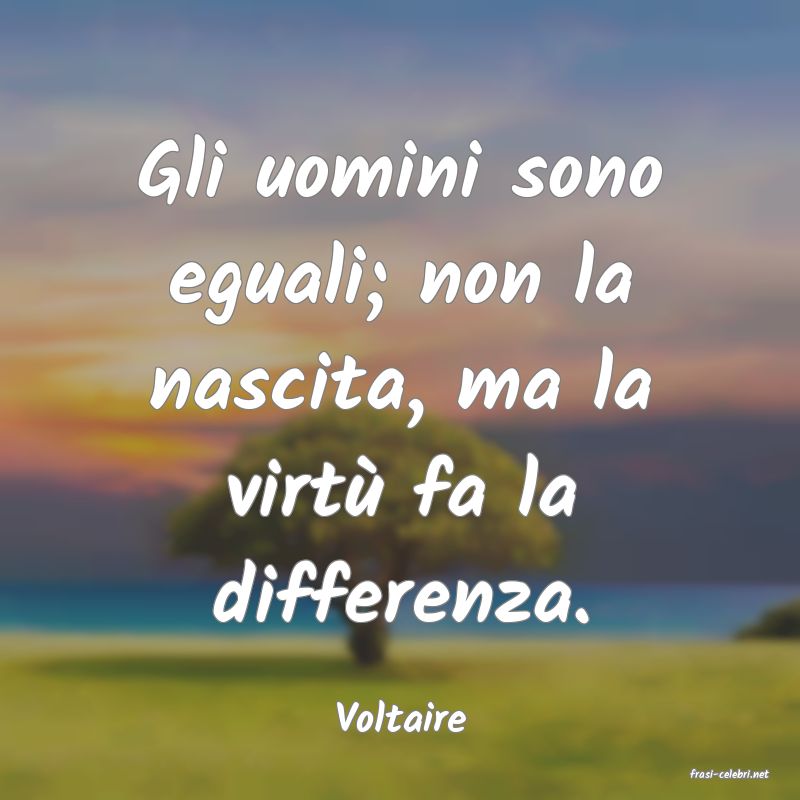 frasi di Voltaire