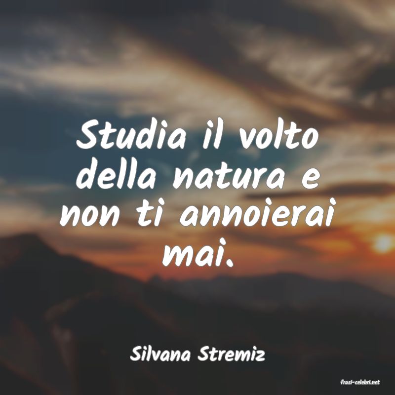 frasi di Silvana Stremiz